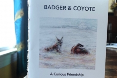 Badger & Coyote - A curious friendship
